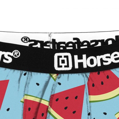 Pánské boxerky Horsefeathers Sidney melon